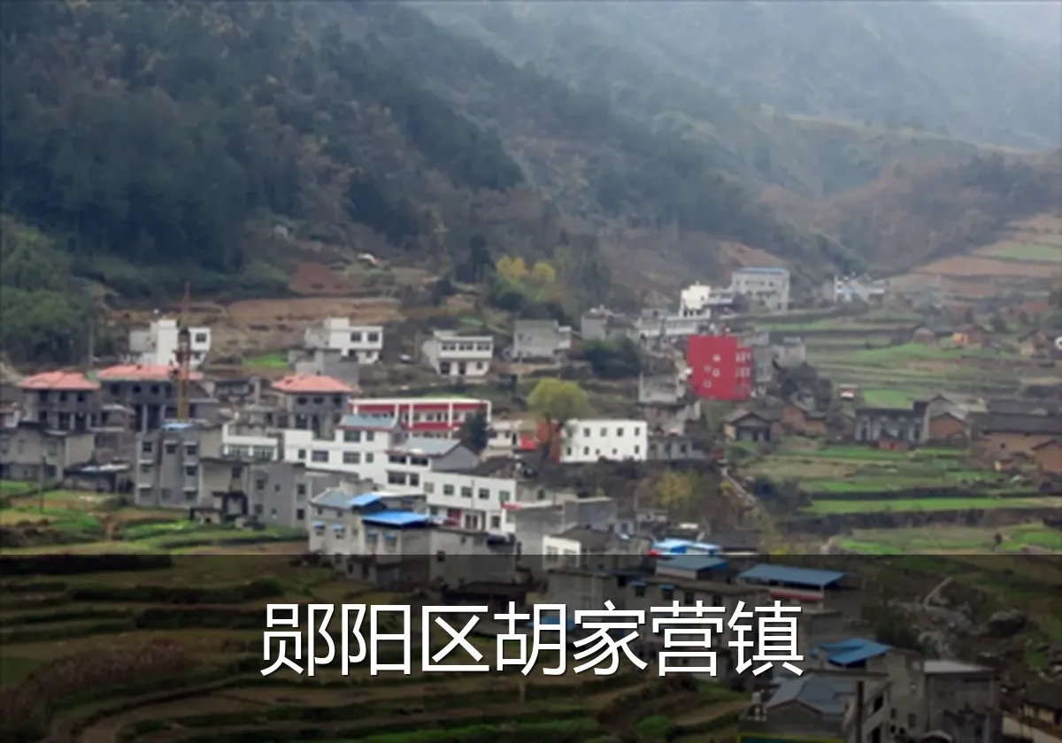 郧阳区胡家营镇