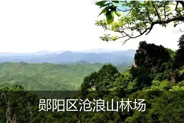 郧阳区沧浪山林场