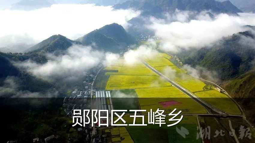 郧阳区五峰乡