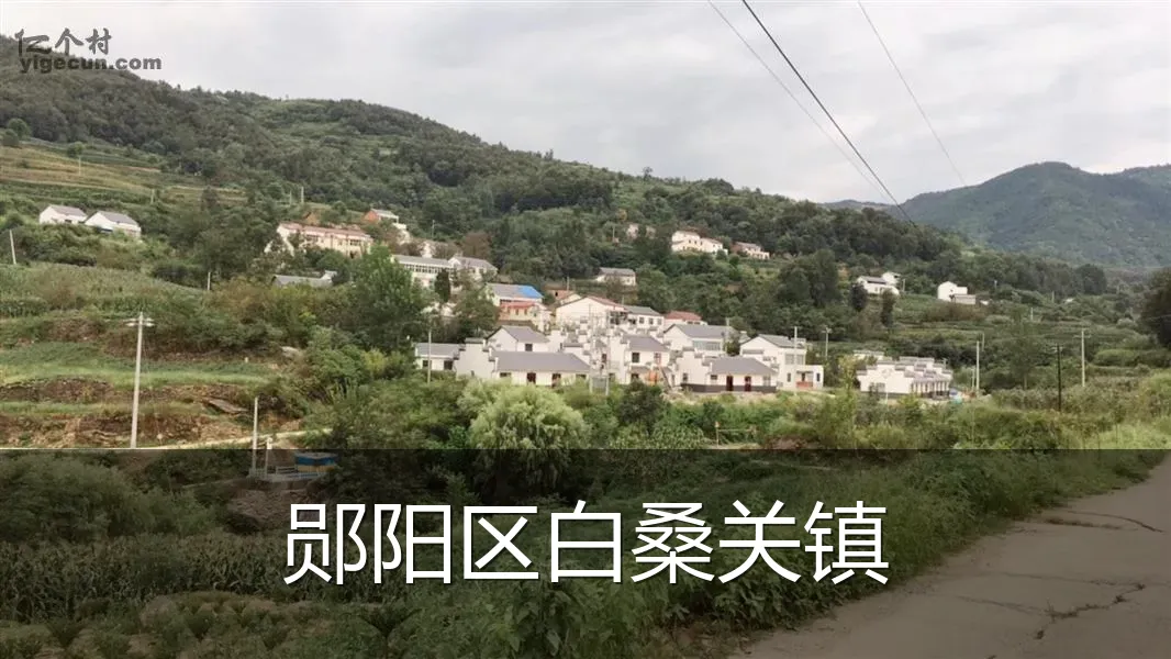 郧阳区白桑关镇