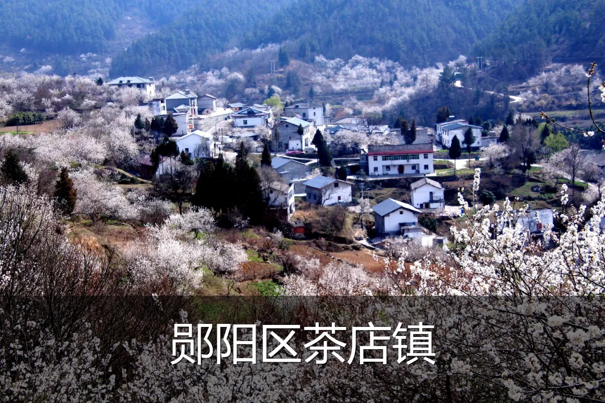 郧阳区茶店镇